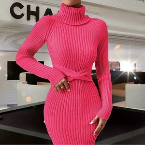 NWT,  Lavishly Paris Vibrant Pink Turtleneck Sweater Dress.